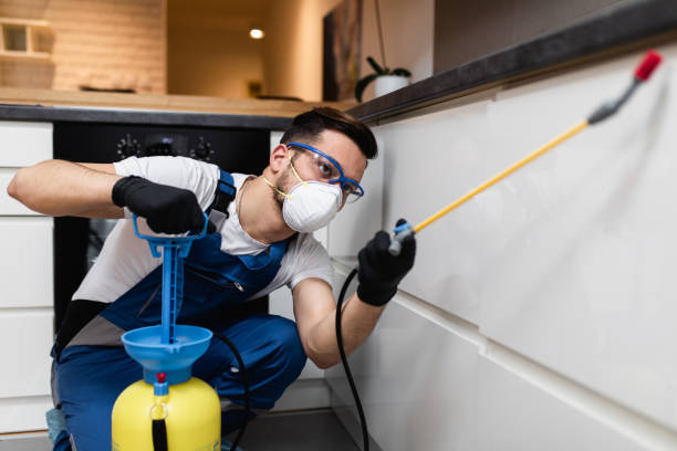  Maryville, TN Pest Control Pros