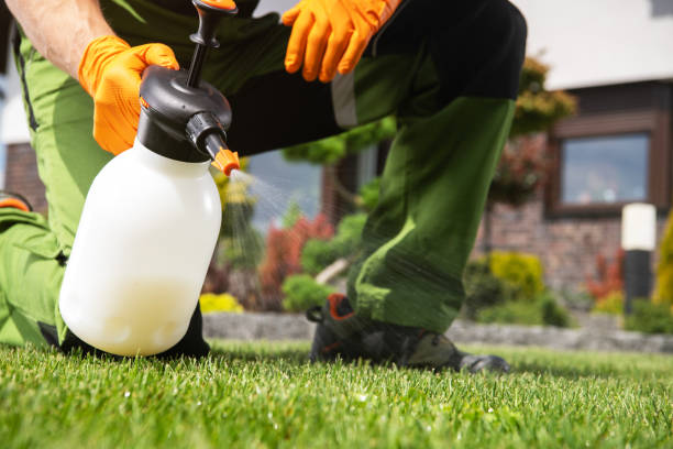 Best Best Pest Control Companies  in Maryville, TN