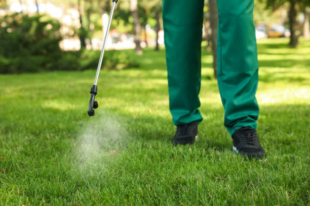 Best Pest Control for Businesses  in Maryville, TN