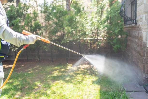 Best Residential Pest Control  in Maryville, TN