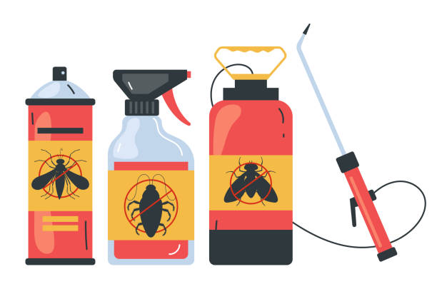 Best Spider Control Near Me  in Maryville, TN