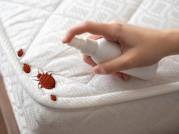 Best Commercial Pest Control Services  in Maryville, TN