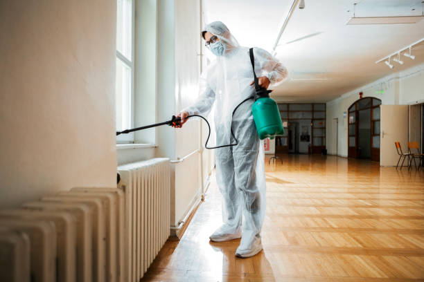 Best Mosquito Control Services  in Maryville, TN